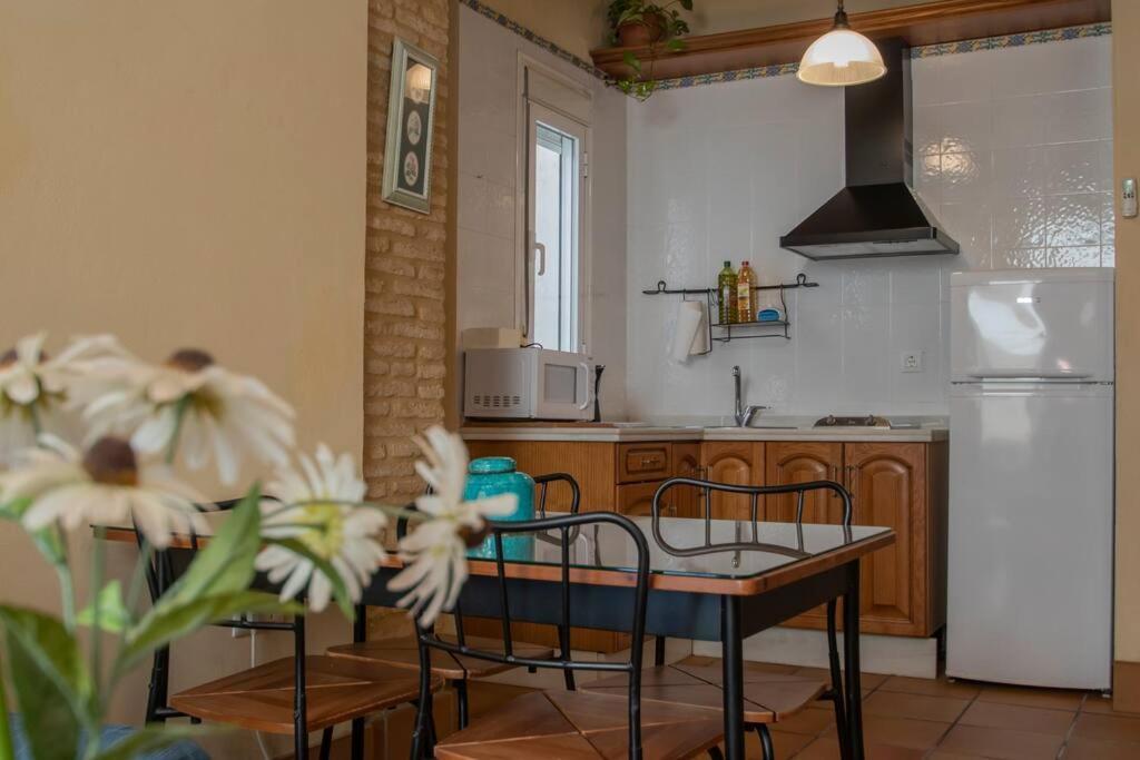 Apartment Precioso Apart. Maravillosa Localizacion **wifi-ac** Sevilla